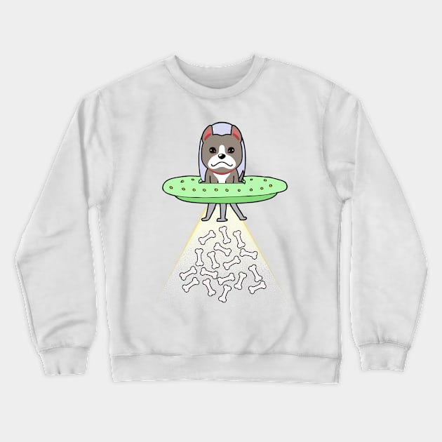 Funny grey dog is flying a ufo Crewneck Sweatshirt by Pet Station